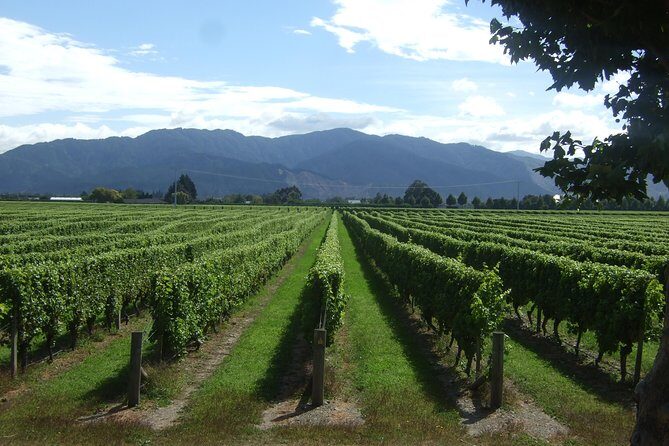 Full-Day Taste the Wines of Marlborough Tour - Practical Considerations