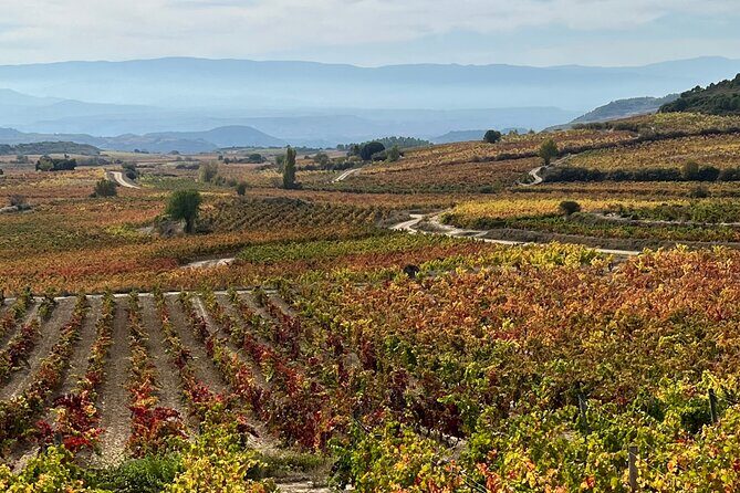 Full Day Tasting The Unknown Rioja Wine Region - How the Experience Comes Together