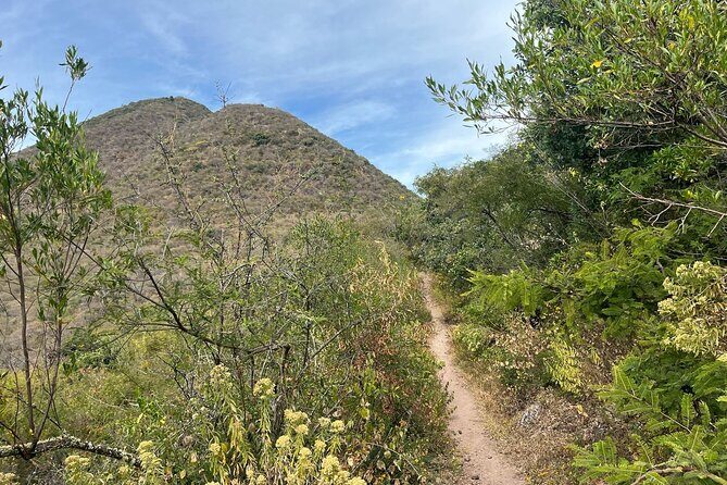 Full Day Teotitlan Del Valle Village Private Tour - An In-Depth Look at the Tour Experience