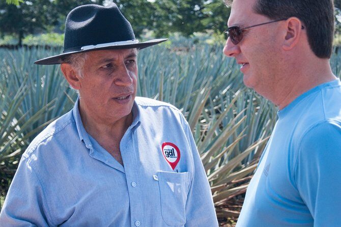 Full-Day Tequila Tour from Guadalajara - Key Points