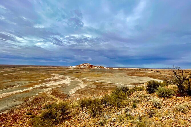 Full day The Painted Desert Tour in Outback South Australia - Key Points