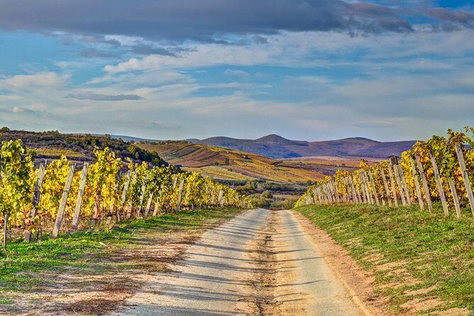 Full-Day Tokaj UNESCO World Heritage Site Private Wine Tour - Key Points