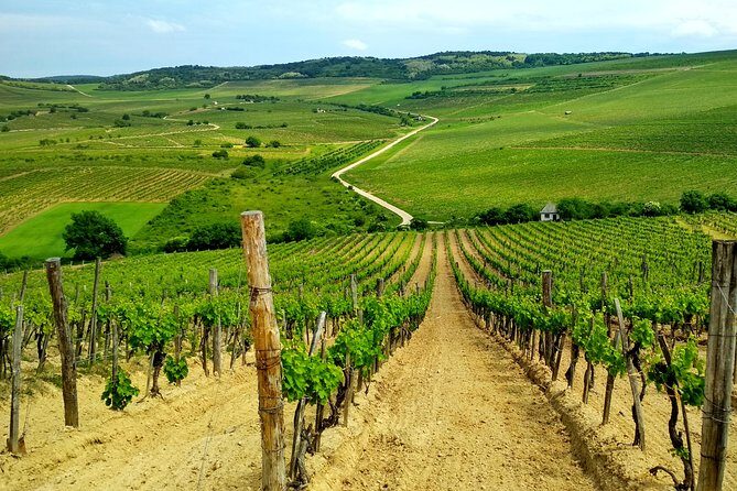 Full-Day Tokaj UNESCO World Heritage Site Private Wine Tour - Exploring the Route: What to Expect from Each Stop
