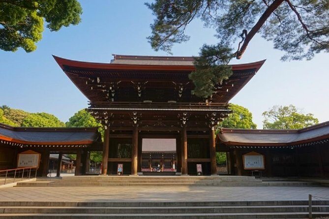 Full Day Tokyo Chartered Taxi Tour - Exploring Tokyo with a Chartered Taxi: A Practical Guide