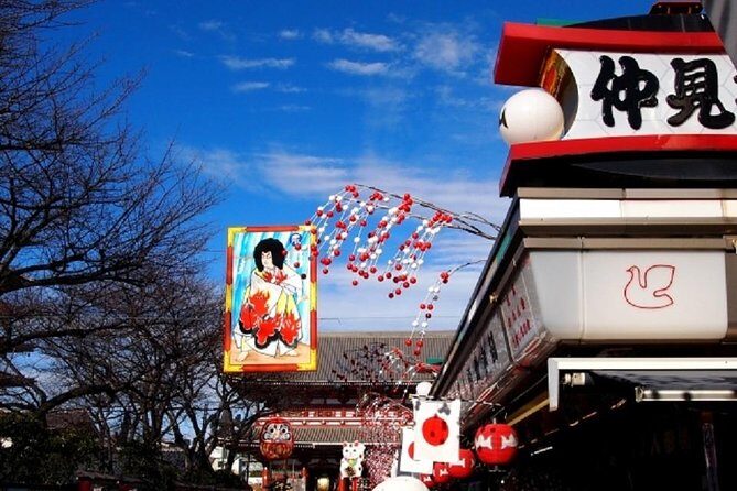 Full Day Tokyo Chartered Taxi Tour From Narita - Who Is This Tour Best For?