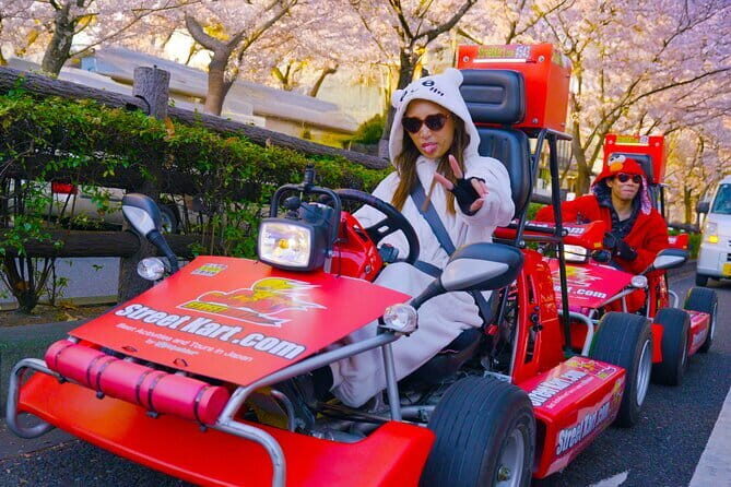 Full Day Tokyo Private City Tour - FAQ