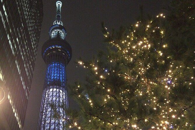 Full day Tokyo private experience with English Speaking Driver - The Bottom Line