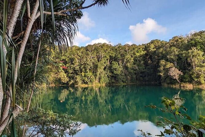 Full-day Tour at the Atherton Tablelands with Food Tasting - Exploring the Atherton Tablelands: An Authentic Day of Nature and Flavour
