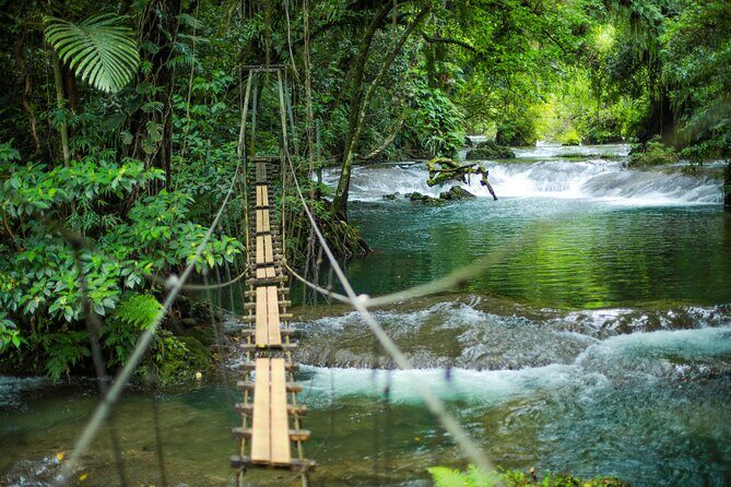 Full Day Tour Cascades Adventure, Turtles and Blue Lagoon - Key Points