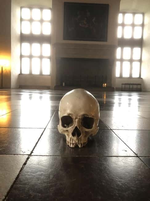 Full-Day Tour; Castle, Palace, Cathedral and Viking Ships - Key Points