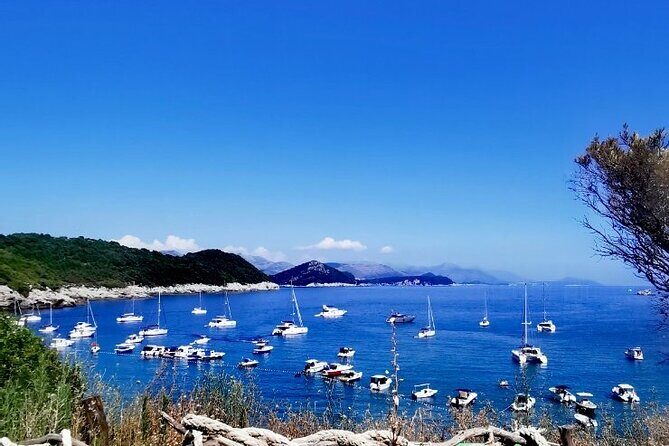 Full Day Tour Elafiti Island With Speedboat - Key Points