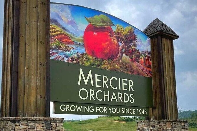 Full Day Tour from Atlanta to Amicalola Falls and Blue Ridge - Practical Tips for Making the Most of Your Day