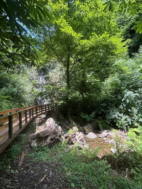 Full Day Tour from Batumi to Waterfalls - An Authentic Georgian Day Trip: What to Expect