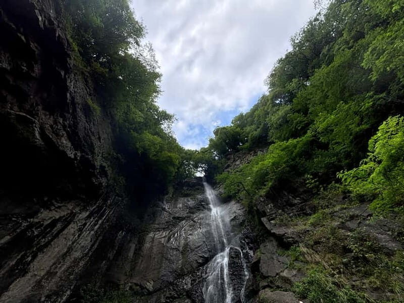 Full Day Tour from Batumi to Waterfalls - What We Loved About This Tour