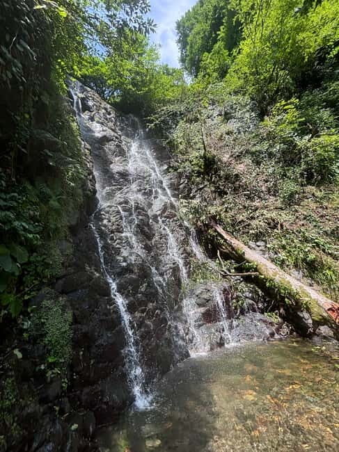 Full Day Tour from Batumi to Waterfalls - Considerations and Practical Tips