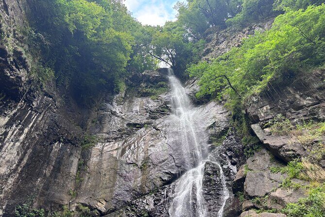 Full Day Tour From Batumi to Waterfalls - The Sum Up