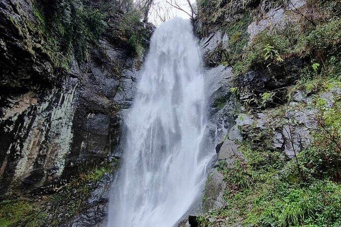 Full Day Tour From Batumi to Waterfalls - FAQs