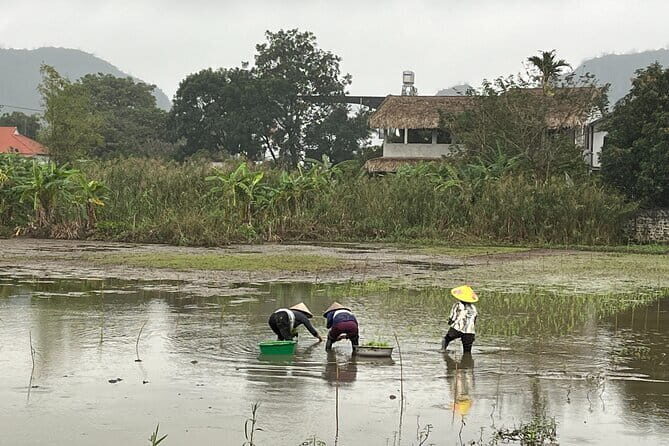 Full Day Tour from Hanoi to Tam Coc - FAQ About the Hanoi to Tam Coc Tour