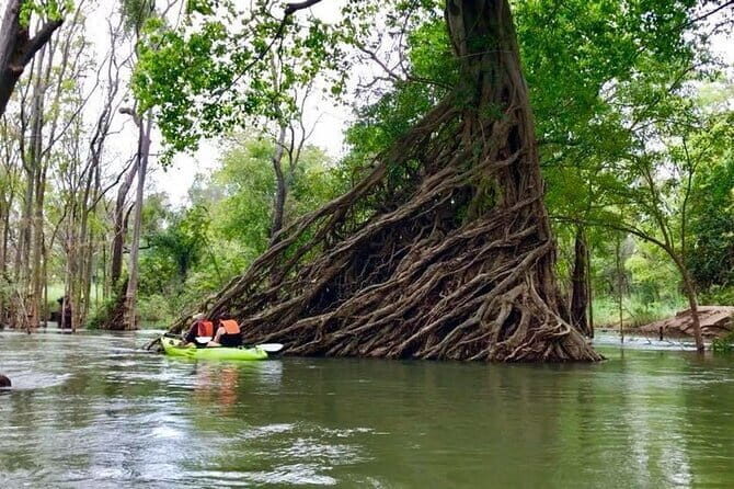 Full Day Tour from Siem Reap - Bamboo Train, Killing Cave & Sunset - Practicalities and Tips