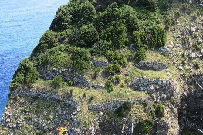 Full Day Tour in 4x4 Jeep to Porto Moniz and Fanal - Frequently Asked Questions