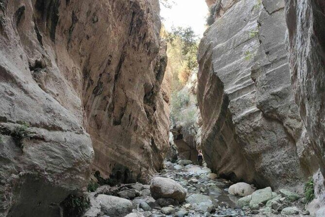 Full Day Tour in Akamas Adonis Waterfalls and Blue Lagoon - An In-Depth Look at the Full Day in Akamas: What to Expect