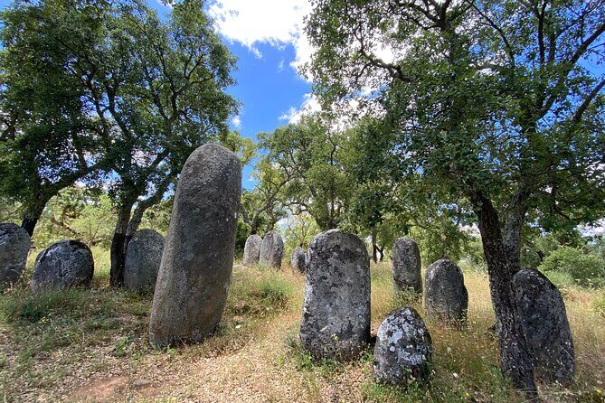 Full Day Tour in Évora from Lisbon - The Itinerary in Detail: What to Expect