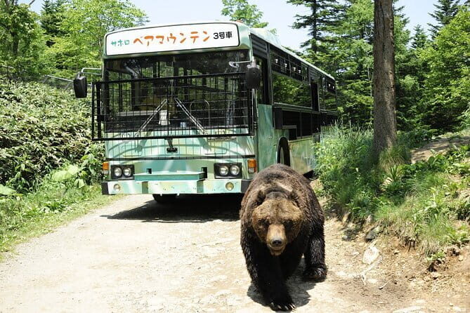 Full Day Tour in Hokkaido and Lake Toya from Sapporo - Practical Details and Value