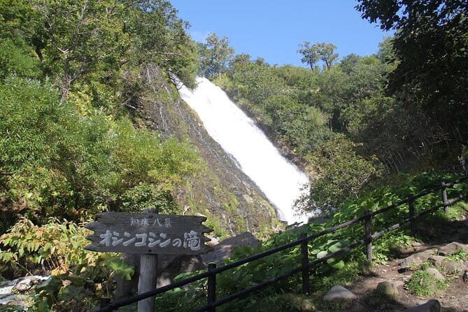 Full-day Tour in Hokkaido Natural Heritage Shiretoko Adventure - Why This Tour Works