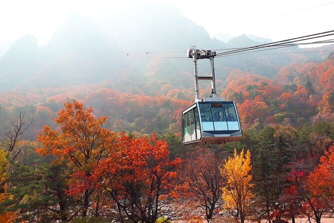 Full-Day Tour in Mt. Seorak & Nami (+Rail Bike Option) - How the Tour Works in Practice