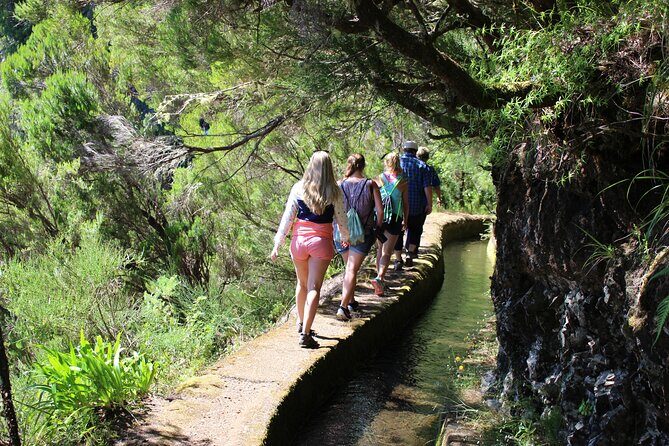 Full Day Tour in Porto Moniz with the Locals - The Sum Up
