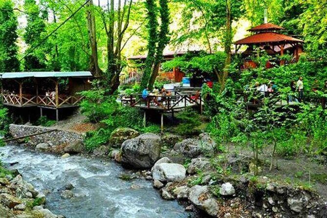 Full Day Tour in Sapanca & Masukiye from Istanbul - Concluding Thoughts: Who is This Tour Best For?