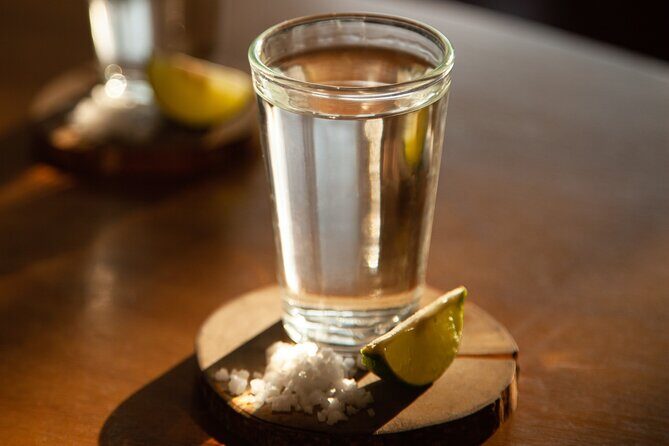 Full-Day Tour in Tequila factory and Cantaritos el Gúero - Who Is This Tour Best Suited For?