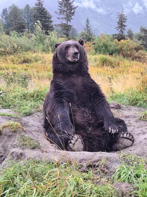 Full-day Tour in Turnagain - Key Points