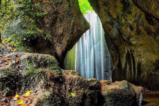 Full Day Tour: Instagram Tour Bali - Key Points