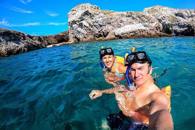 Full Day Tour Isla Marietas with Meals and Open Bar - What Travelers Say: Authentic Insights