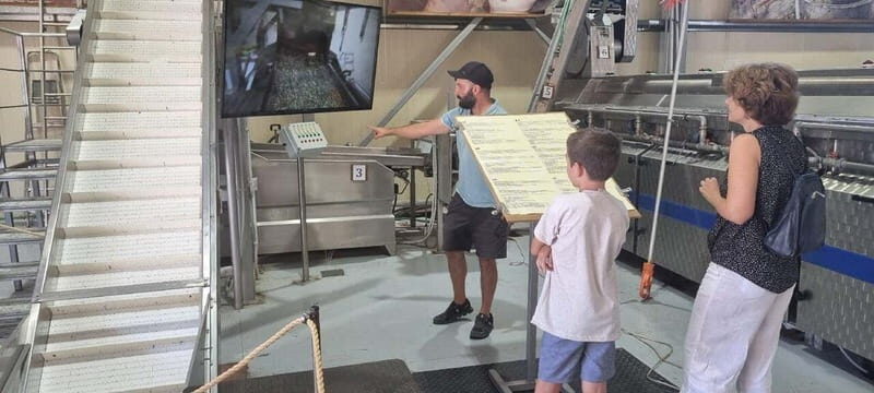 Full day tour Knossos,Zeus's land,lasithi&olive oil factory - A Deep Dive Into the Crete Full-Day Tour