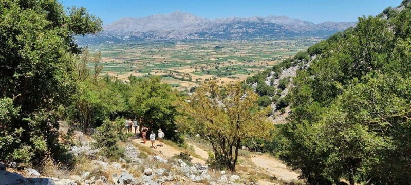 Full day tour Knossos,Zeus's land,lasithi&olive oil factory - The Sum Up