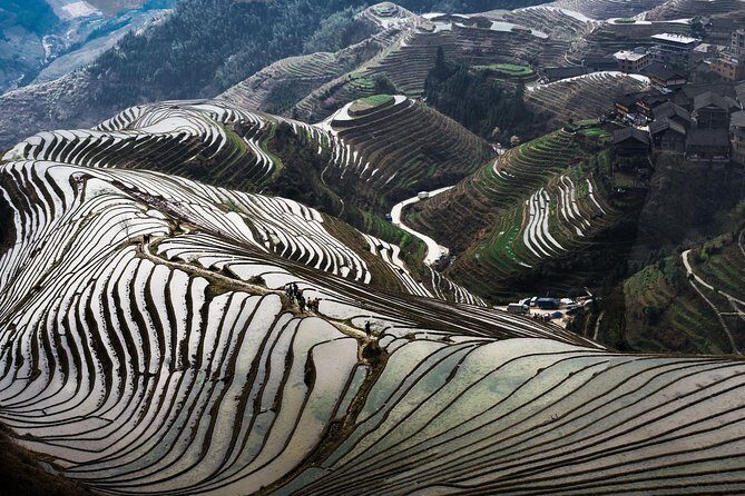 Full-day Tour: Longji Rice Terraces & Minority Villages - The Tour Experience: A Step-by-Step Breakdown