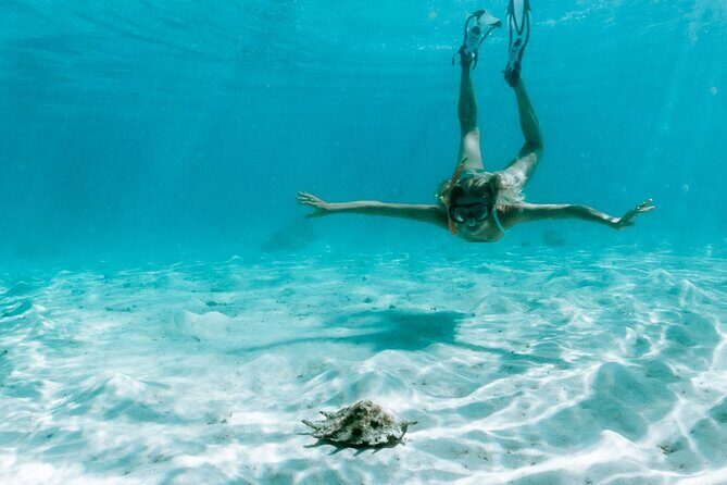 Full Day Tour : Moorea Snorkeling & Sunset Cruise on a Catamaran named Taboo - Practical Details: What Travelers Need to Know