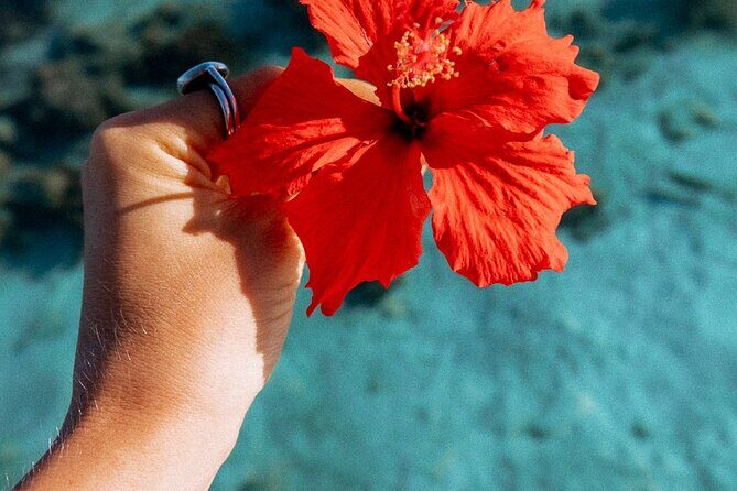 Full Day Tour : Moorea Snorkeling & Sunset Cruise on a Catamaran named Taboo - Who Will Love This Experience?