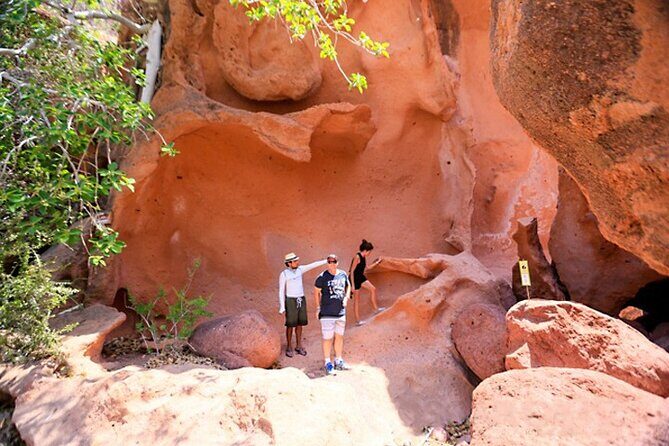 Full-Day Tour Nature Experience at Isla Espiritu Santo! Sea Lions - Final Thoughts