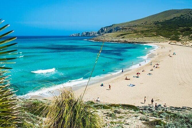 Full-Day Tour of Cala Agulla, and Cala Molto - Key Points