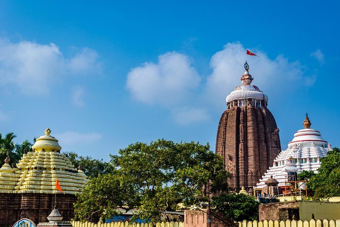 Full Day Tour of Konark Temple and Puri - Key Points