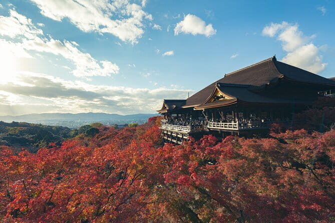Full Day Tour of Kyoto with Private Transportation - Experience Overview