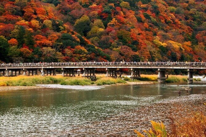 Full Day Tour of Kyoto with Private Transportation - Final Thoughts