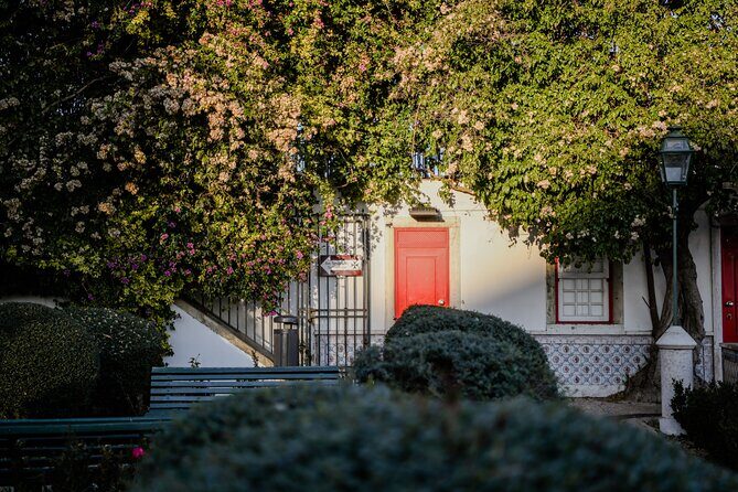 Full Day Tour of Lisbon in Private Eco Tuk Tuk - Small Details That Matter