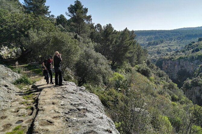 Full Day Tour of Pantalica in Sicily - What Reviewers Love Most