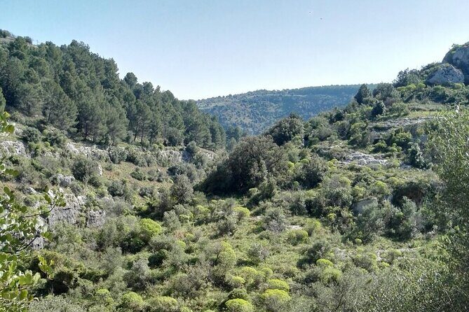 Full Day Tour of Pantalica in Sicily - The Sum Up