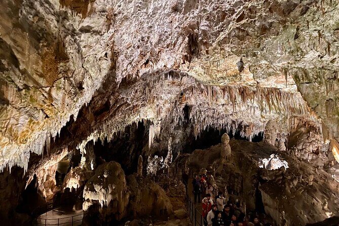 Full-day tour of Postojna Cave and Bled Lake From Ljubljana - Who Will Love This Tour?