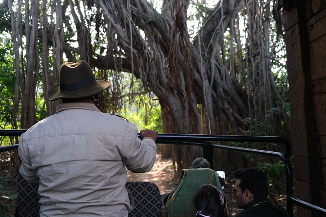 Full-Day Tour of Ranthambore from Jaipur - Who Should Book This Tour?